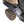 2021-2025 Can-Am Commander XMR Fender Extensions - Max Coverage